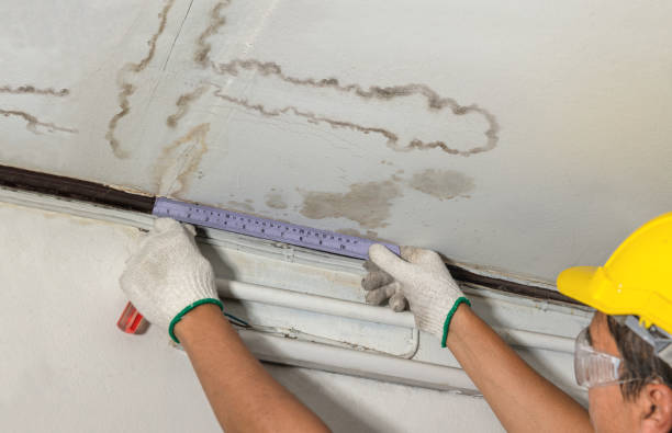Reliable Water Damage Repair contractor in Rochelle, IL by Hirex Water Damage